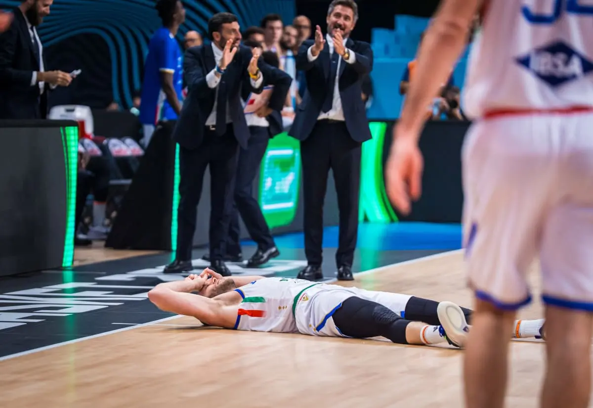 鹈鹕和达拉 鹈鹕和达拉