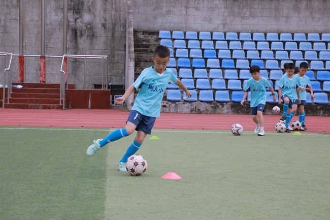 msn, 生们在 msn, 生们在